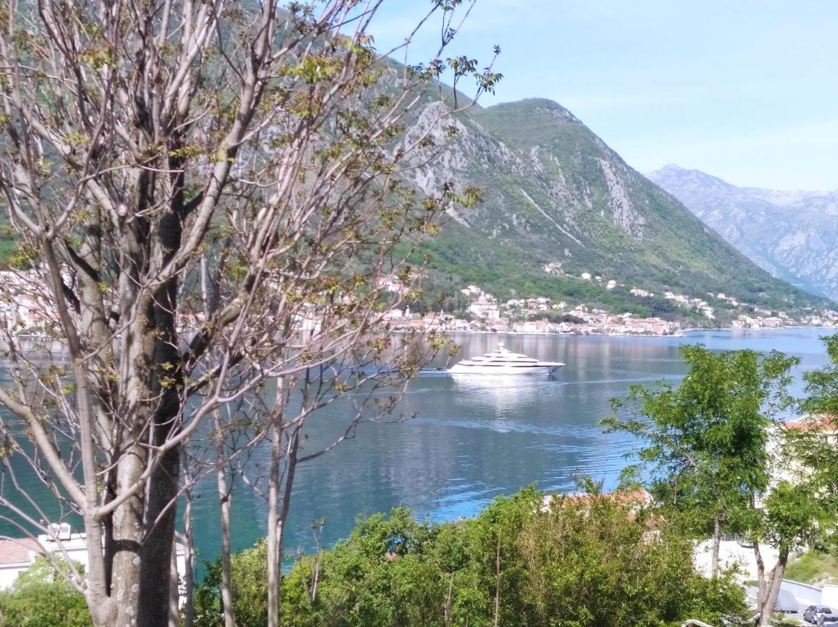 Apartments Dakovic M Kotor Zewnętrze zdjęcie