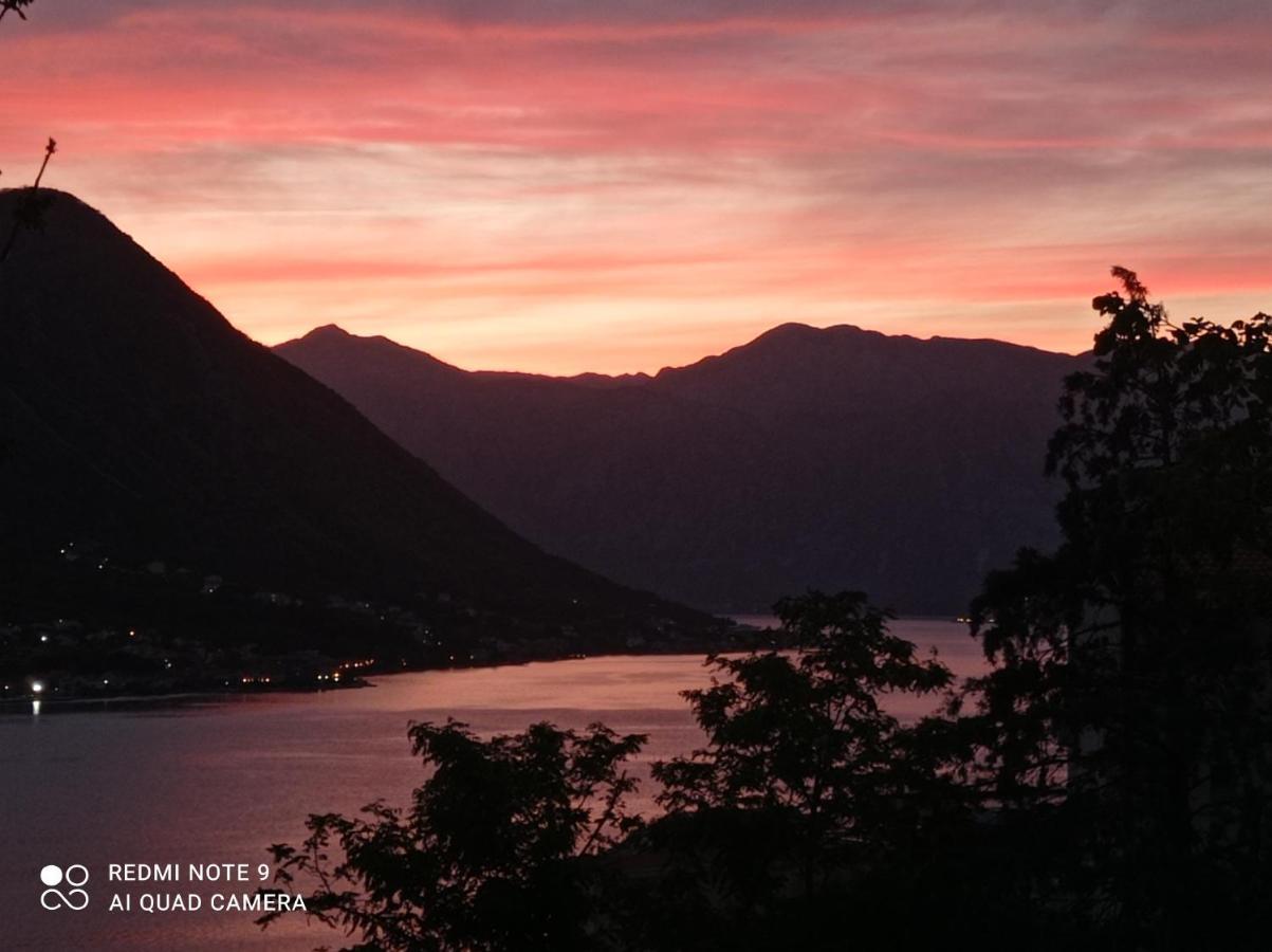 Apartments Dakovic M Kotor Zewnętrze zdjęcie