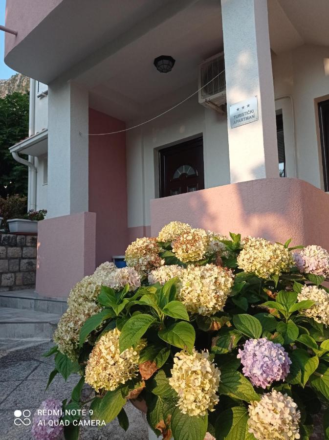 Apartments Dakovic M Kotor Zewnętrze zdjęcie