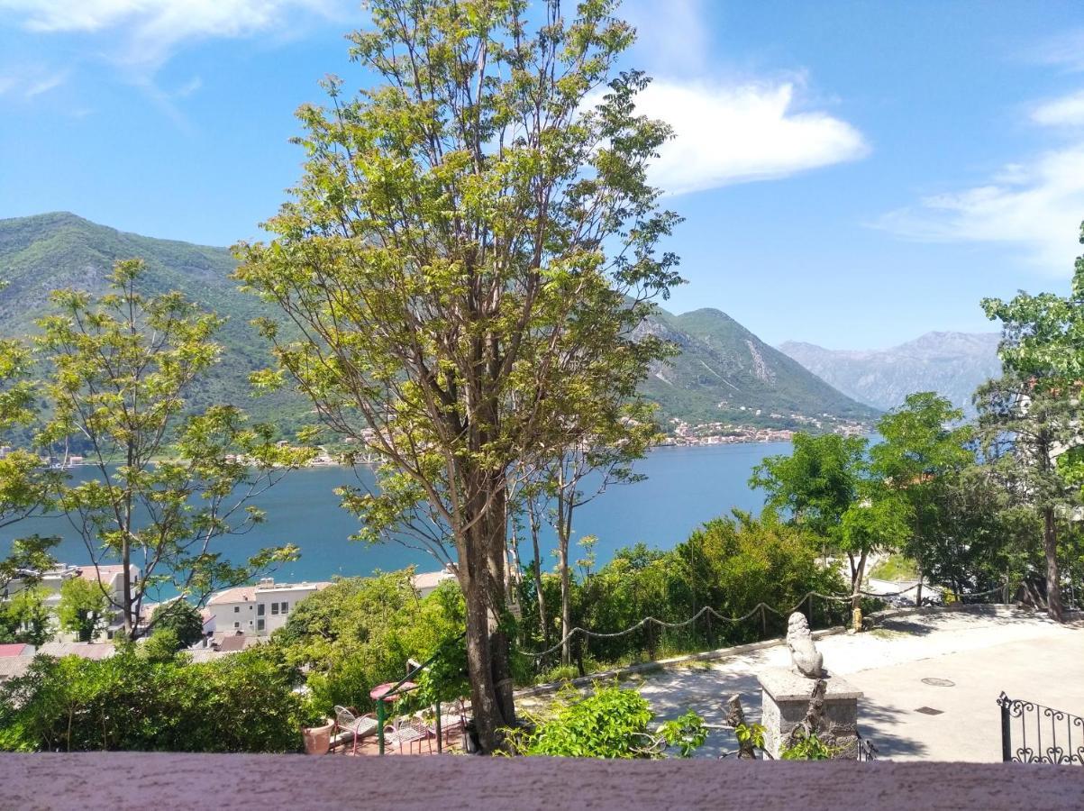 Apartments Dakovic M Kotor Zewnętrze zdjęcie