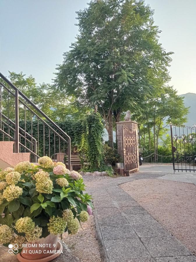 Apartments Dakovic M Kotor Zewnętrze zdjęcie
