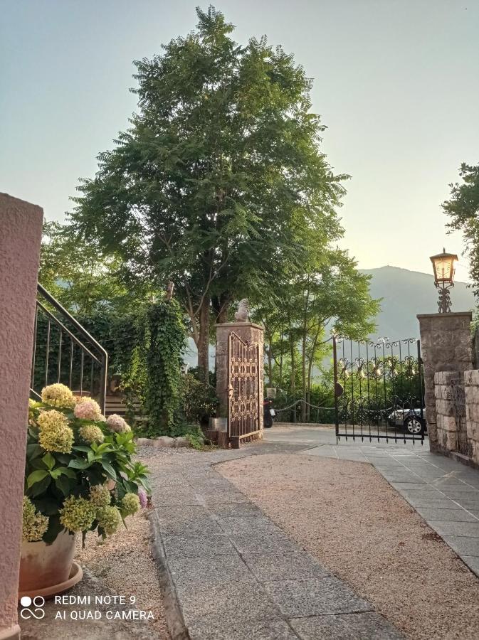 Apartments Dakovic M Kotor Zewnętrze zdjęcie