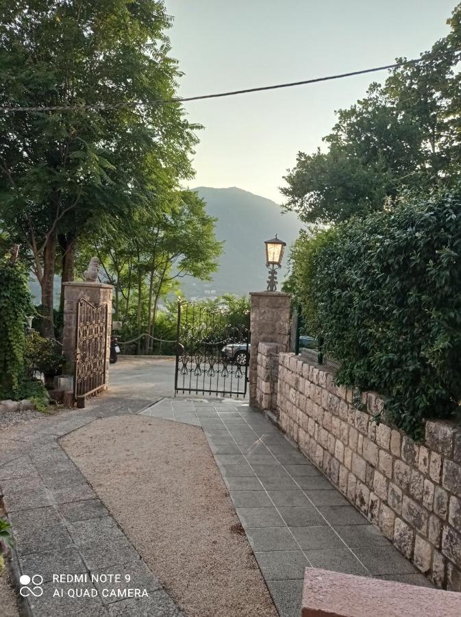 Apartments Dakovic M Kotor Zewnętrze zdjęcie