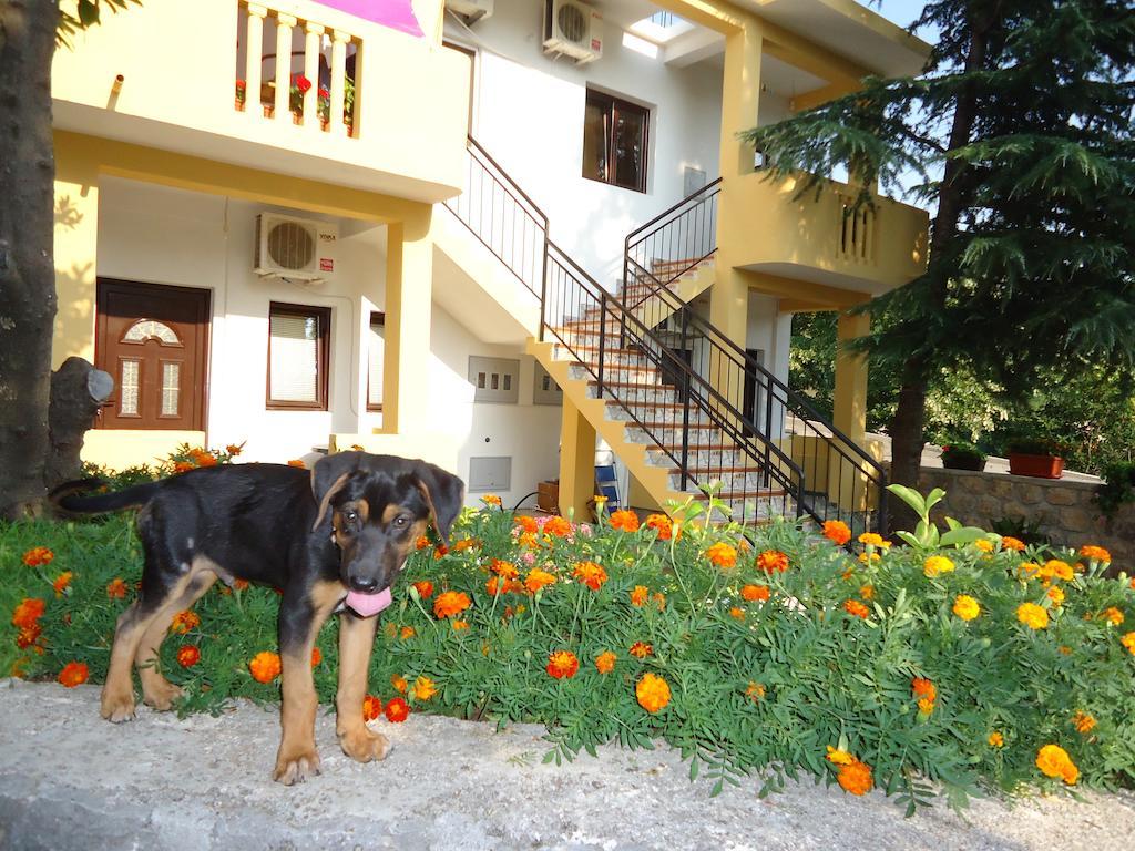 Apartments Dakovic M Kotor Zewnętrze zdjęcie