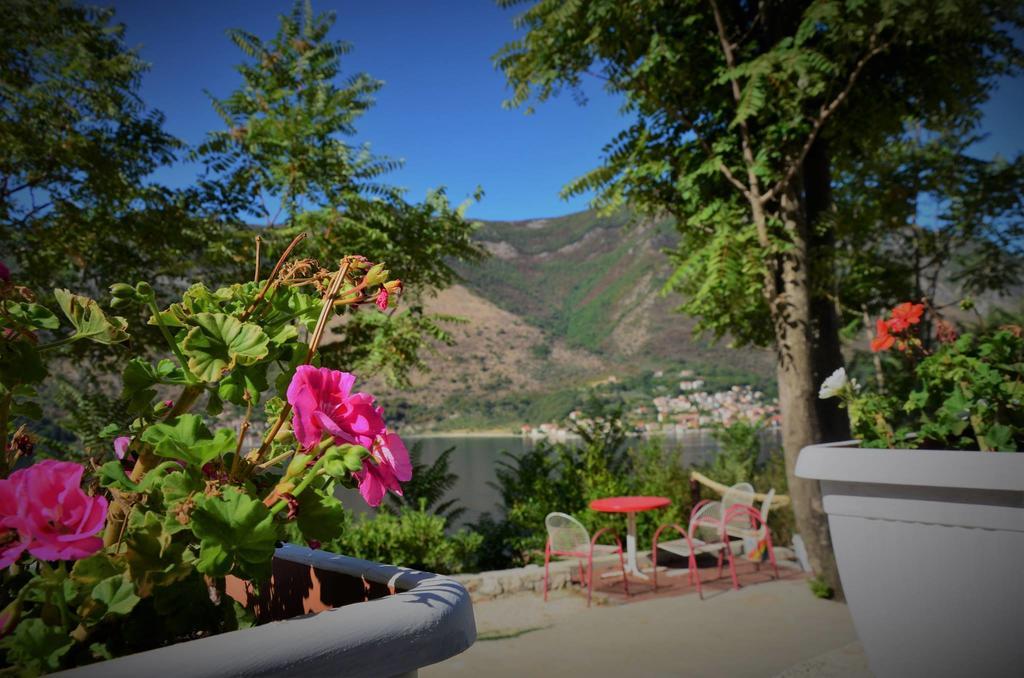 Apartments Dakovic M Kotor Zewnętrze zdjęcie